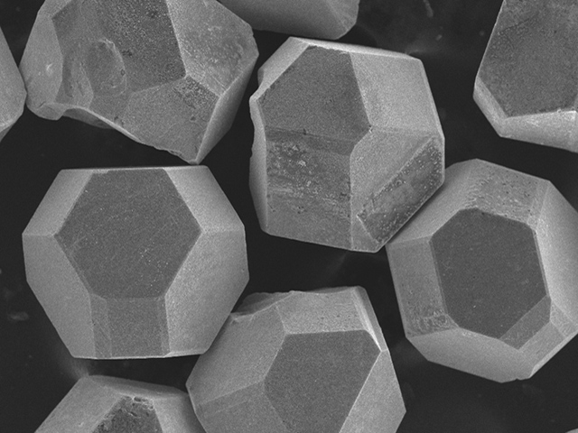Diamond, coated with WC, snapshot from electron microscope